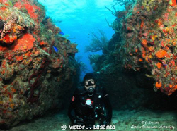Frank Having Fun at Laberinto de Malta Dive site in Tourm... by Victor J. Lasanta 